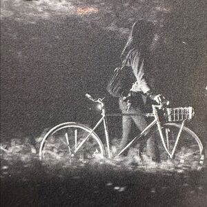 New kryptonite bike light